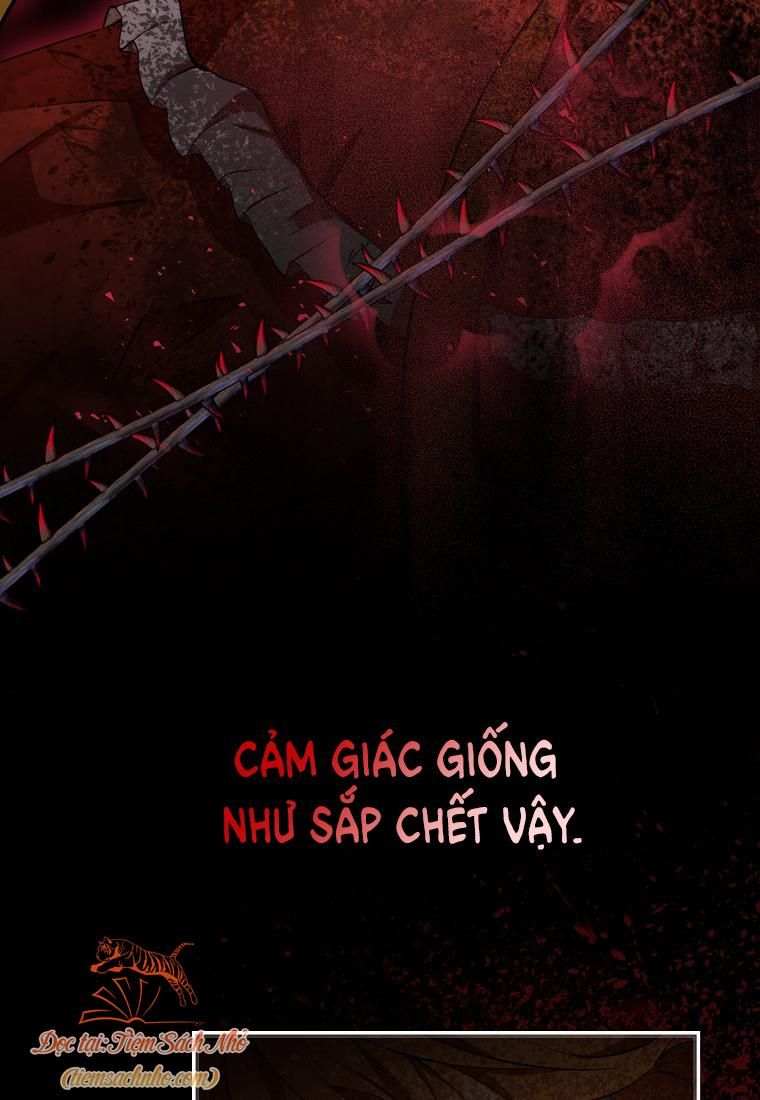 đọc truyện Sóc Con Tài Năng Chương 1 ảnh 13 tại Thiên Thai Truyện