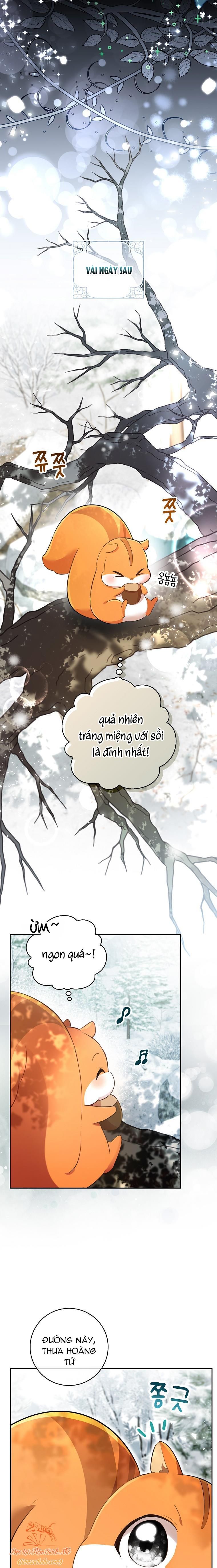 đọc truyện Sóc Con Tài Năng Chương 48 ảnh 12 tại Thiên Thai Truyện