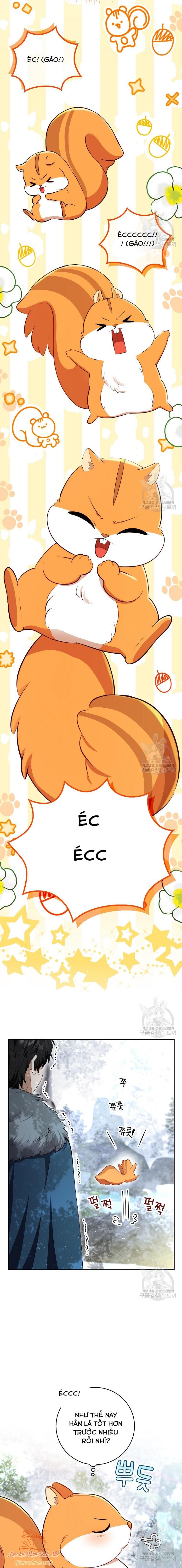 đọc truyện Sóc Con Tài Năng Chương 61 ảnh 19 tại Thiên Thai Truyện