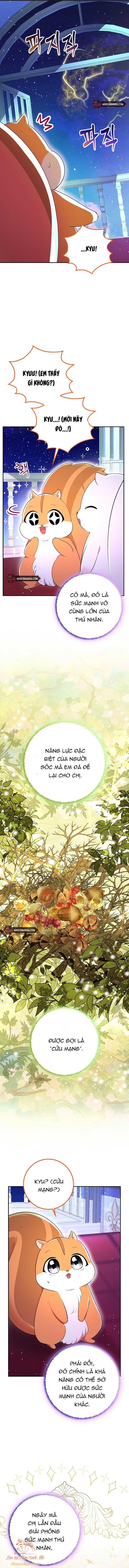đọc truyện Sóc Con Tài Năng Chương 74 ảnh 8 tại Thiên Thai Truyện