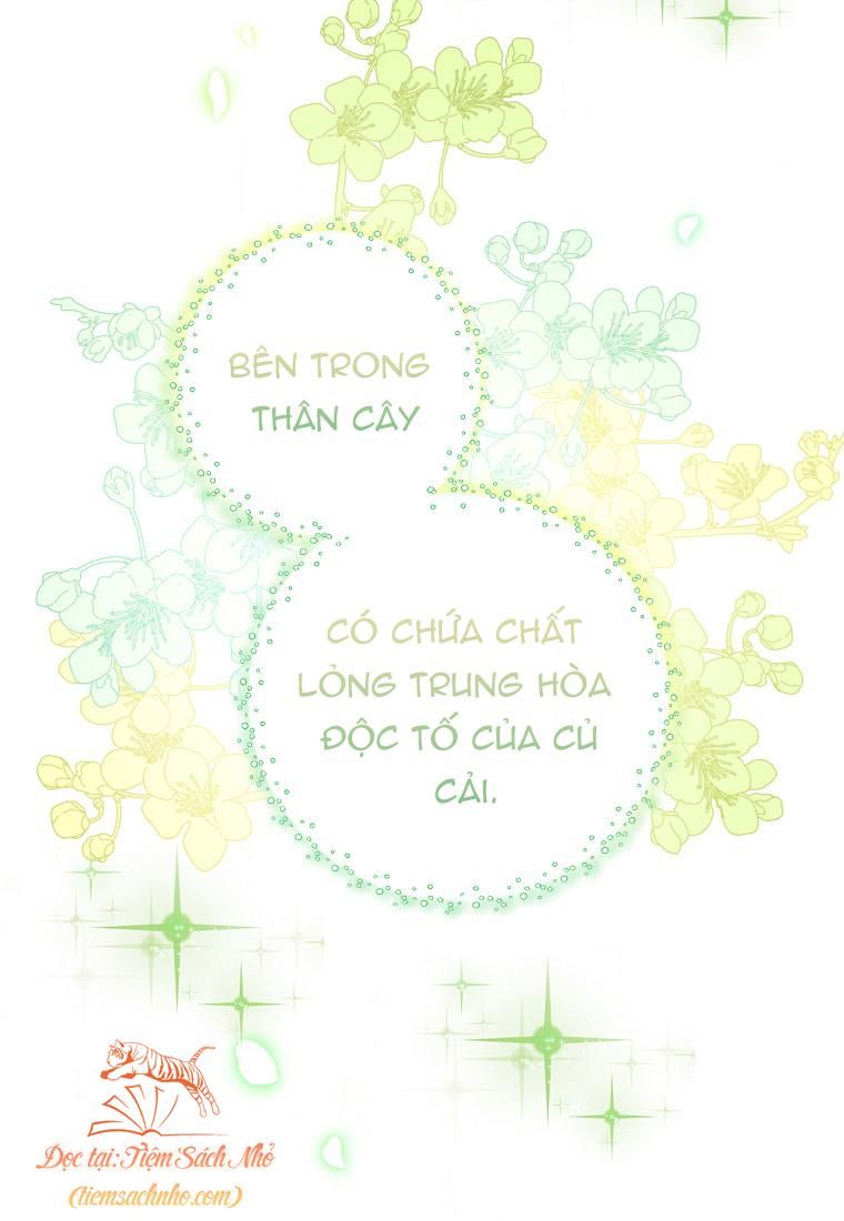 đọc truyện Sóc Con Tài Năng Chương 9 ảnh 26 tại Thiên Thai Truyện