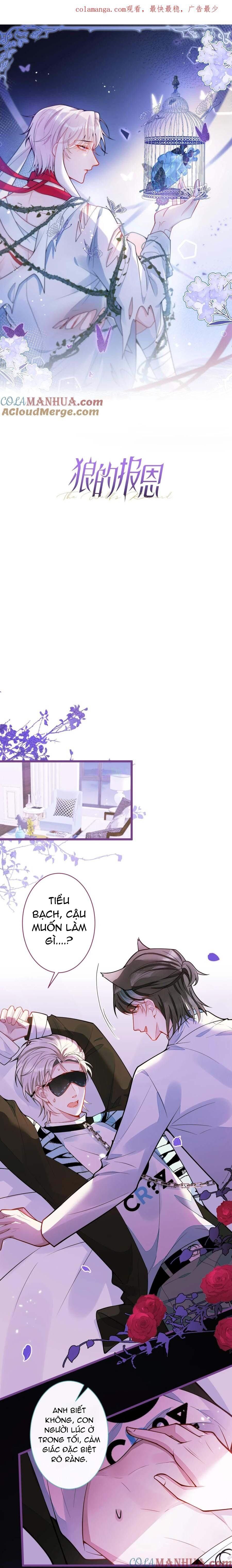 đọc truyện Sói Báo Ơn Chương 45 ảnh 1 tại Thiên Thai Truyện
