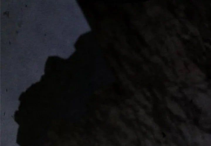 đọc truyện Sống Sót Trong Trò Chơi Với Tư Cách Là Một Cuồng Nhân Chương 127 ảnh 201 tại Thiên Thai Truyện