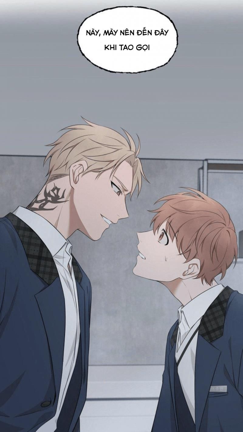 đọc truyện Struggle Chương 1 ảnh 35 tại Thiên Thai Truyện