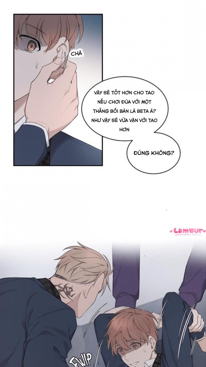 đọc truyện Struggle Chương 1 ảnh 45 tại Thiên Thai Truyện