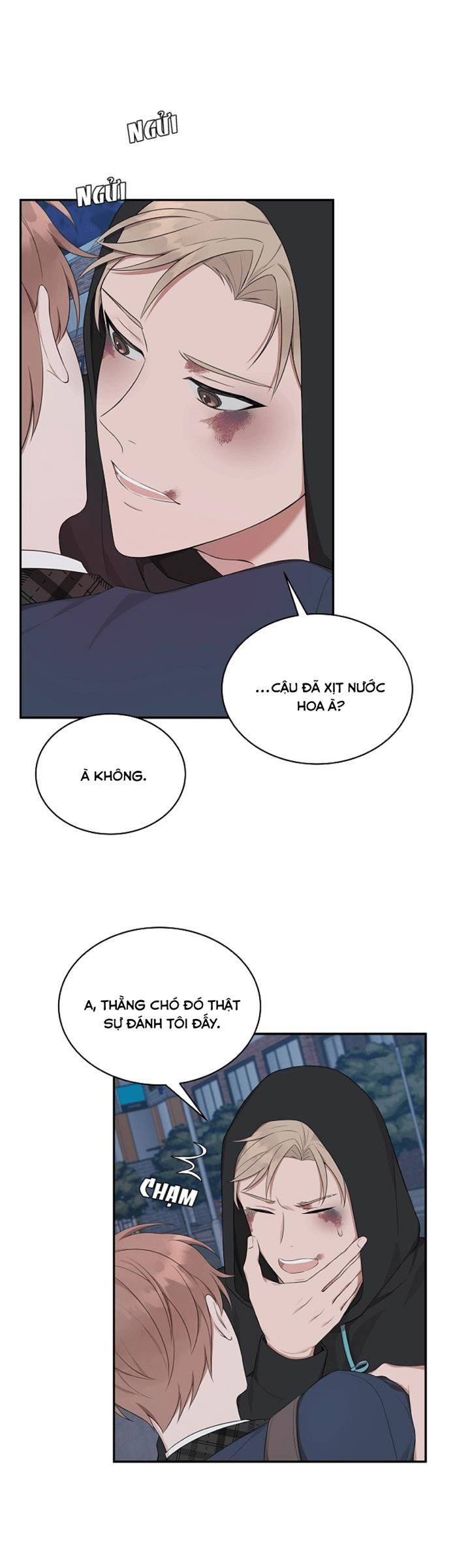 đọc truyện Struggle Chương 10 ảnh 25 tại Thiên Thai Truyện