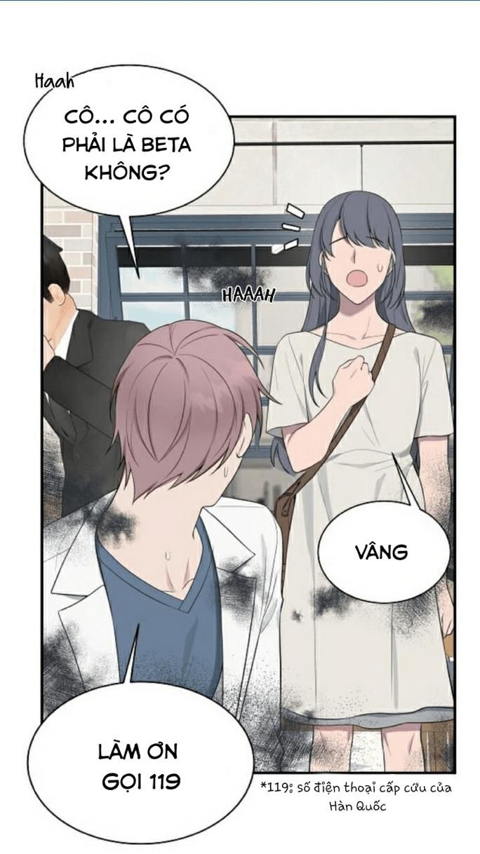 đọc truyện Struggle Chương 19 ảnh 57 tại Thiên Thai Truyện