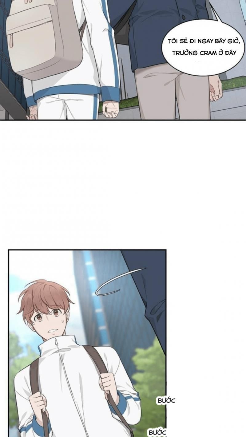 đọc truyện Struggle Chương 2 ảnh 43 tại Thiên Thai Truyện