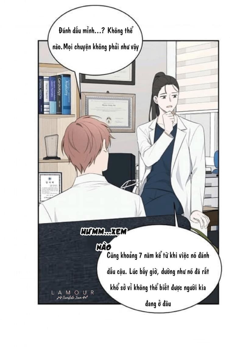 đọc truyện Struggle Chương 20 ảnh 35 tại Thiên Thai Truyện