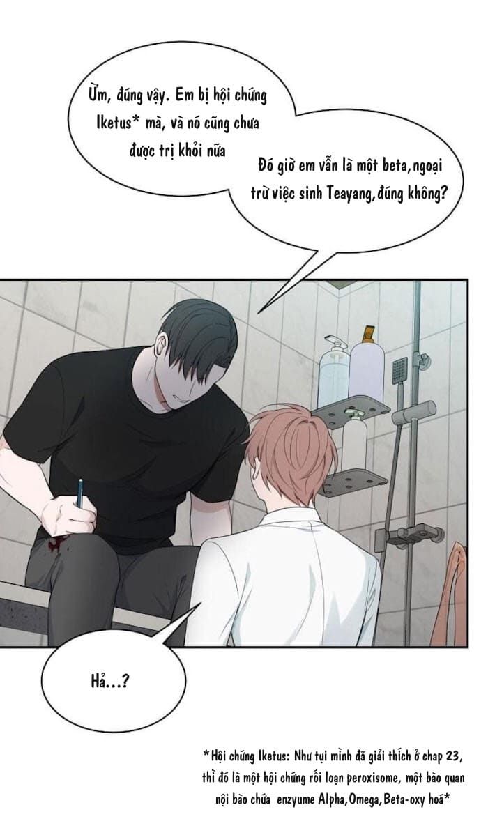 đọc truyện Struggle Chương 32 ảnh 41 tại Thiên Thai Truyện