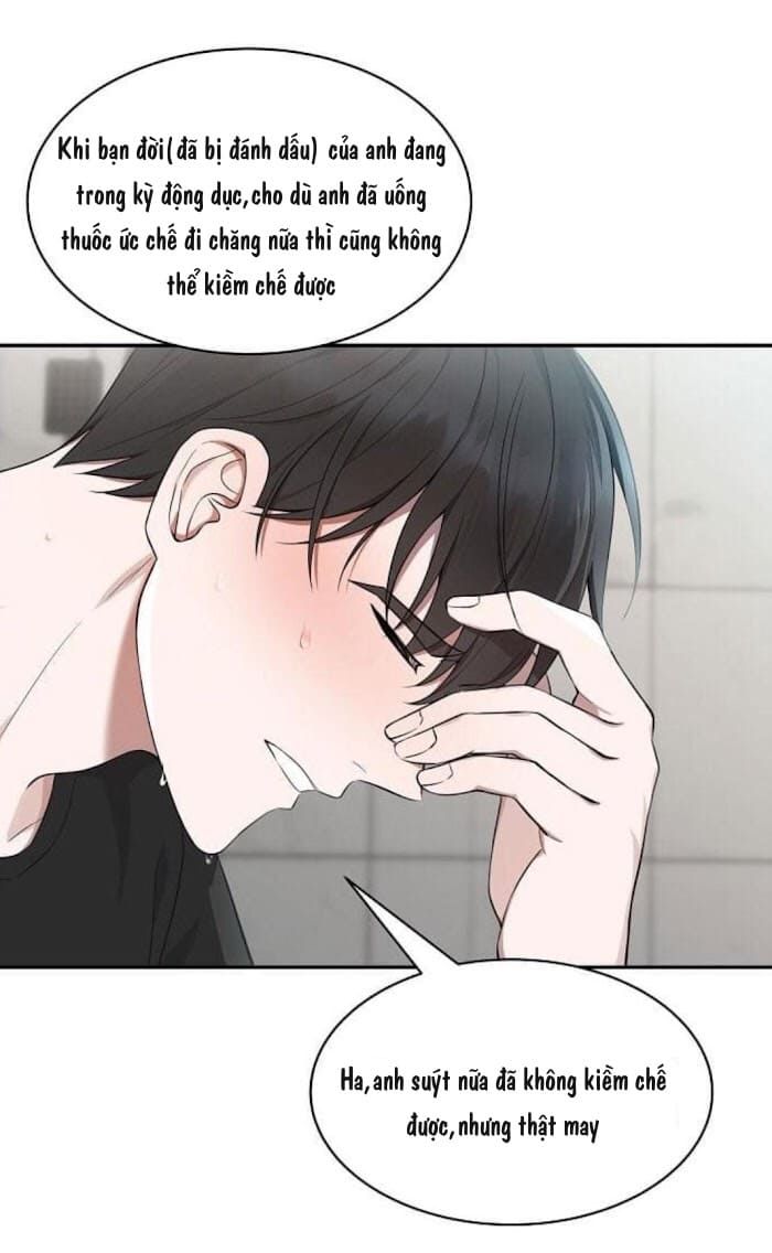 đọc truyện Struggle Chương 32 ảnh 43 tại Thiên Thai Truyện