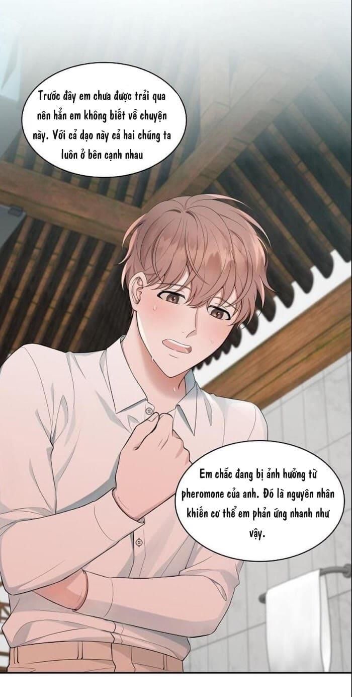 đọc truyện Struggle Chương 33.1 ảnh 3 tại Thiên Thai Truyện