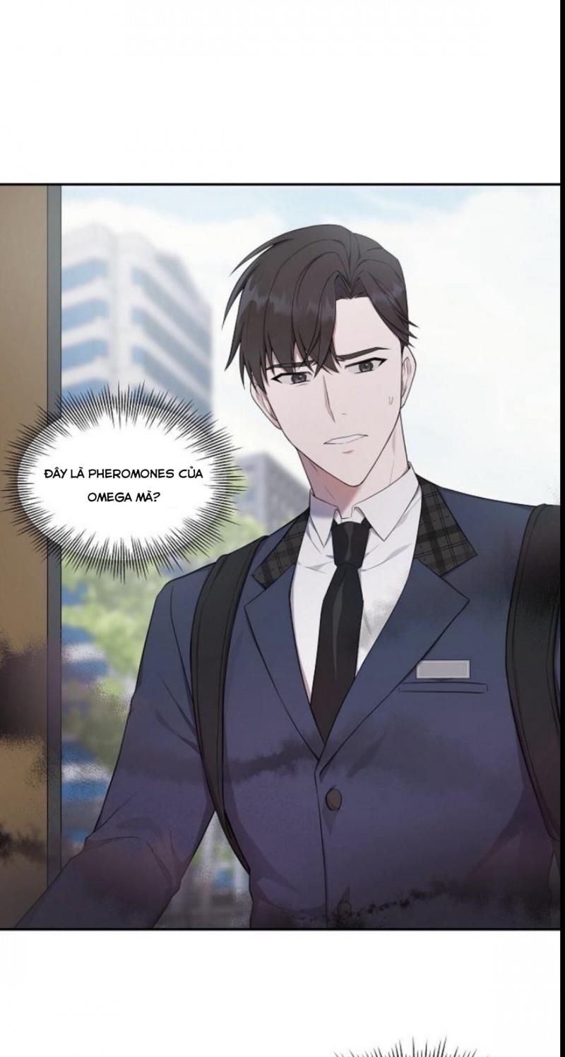 đọc truyện Struggle Chương 4 ảnh 22 tại Thiên Thai Truyện