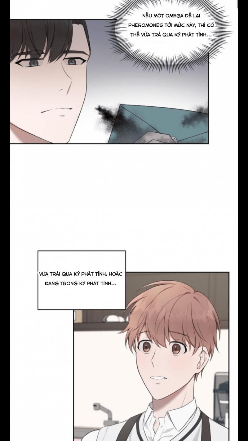 đọc truyện Struggle Chương 4 ảnh 31 tại Thiên Thai Truyện