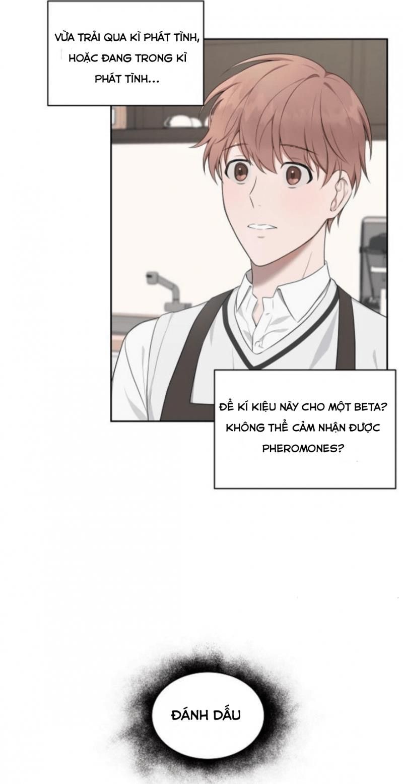 đọc truyện Struggle Chương 4 ảnh 32 tại Thiên Thai Truyện