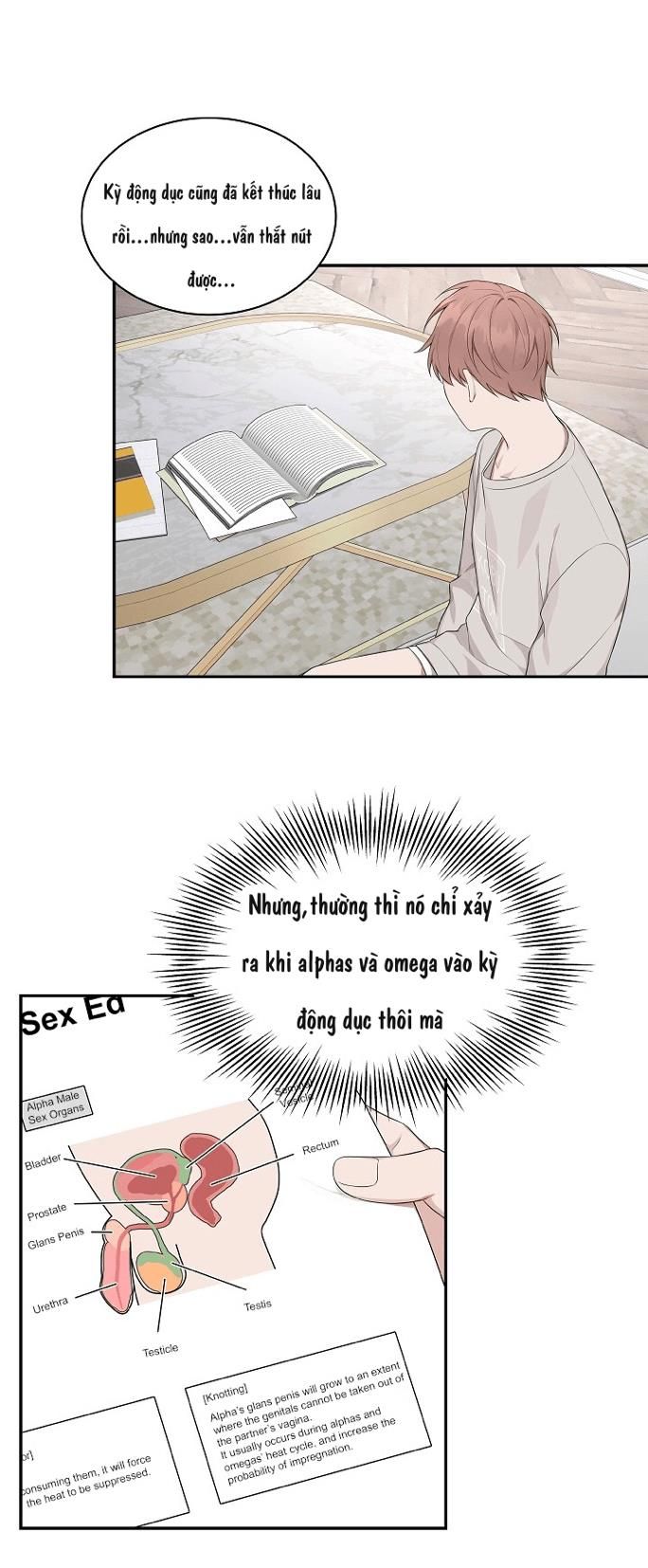 đọc truyện Struggle Chương 8 ảnh 30 tại Thiên Thai Truyện