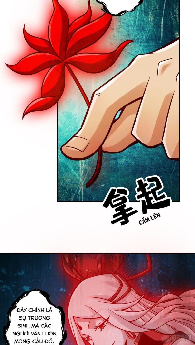 đọc truyện Sư Huynh Của Ta Quá Cẩn Thận Rồi Chương 113 ảnh 8 tại Thiên Thai Truyện