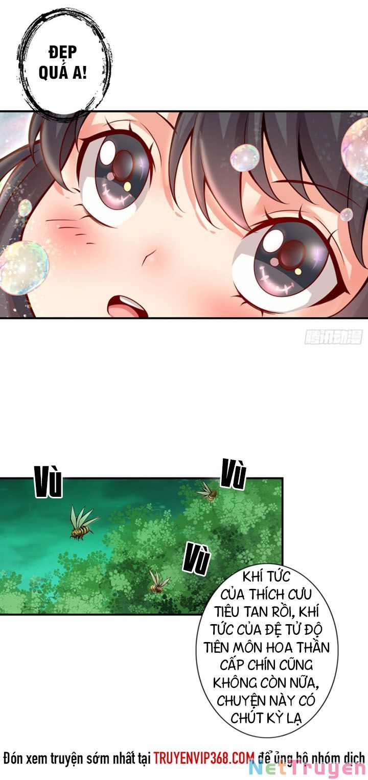 đọc truyện Sư Huynh Của Ta Quá Cẩn Thận Rồi Chương 15 ảnh 15 tại Thiên Thai Truyện