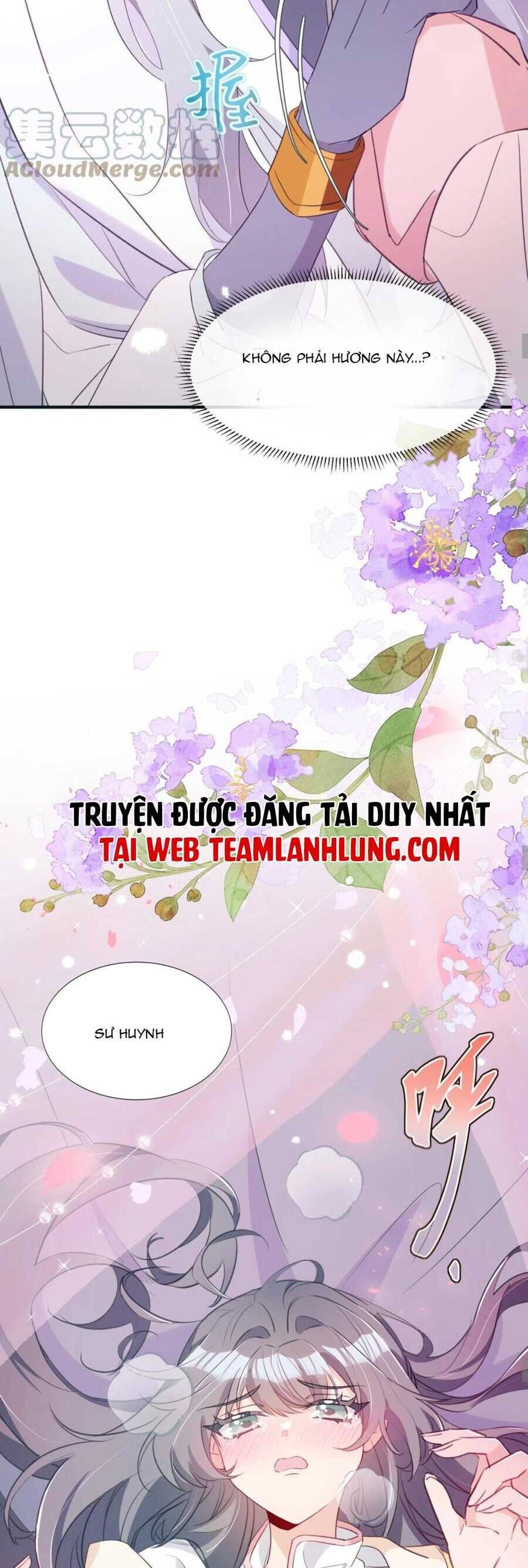 đọc truyện Sư Huynh Phản Diện Bắt Ta Hoàn Lương Chương 18 ảnh 12 tại Thiên Thai Truyện