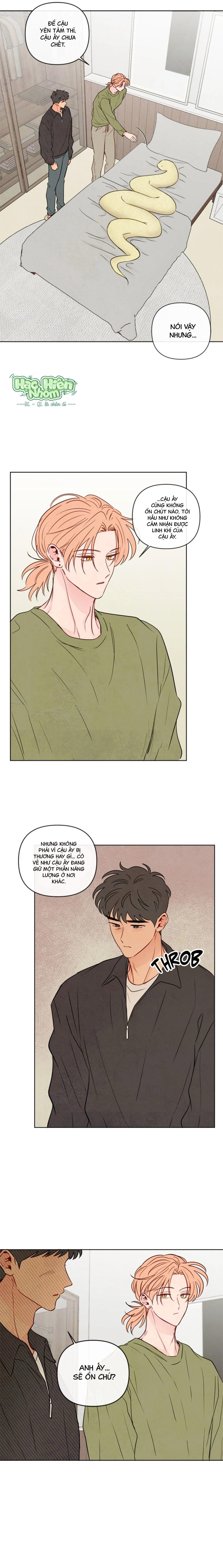 đọc truyện Sự Quyến Rũ Của Thần Rắn Chương 41 ảnh 11 tại Thiên Thai Truyện