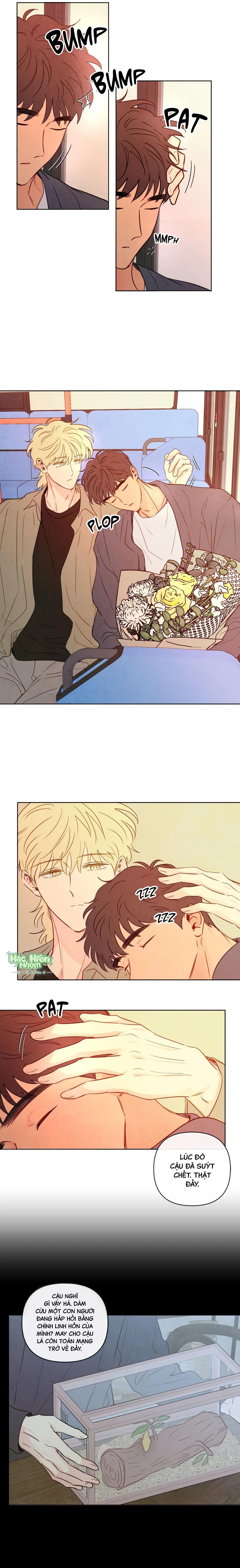 đọc truyện Sự Quyến Rũ Của Thần Rắn Chương 43 ảnh 15 tại Thiên Thai Truyện