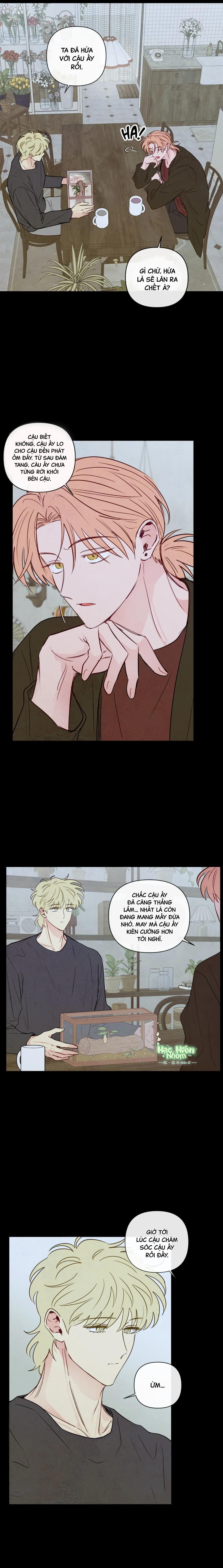 đọc truyện Sự Quyến Rũ Của Thần Rắn Chương 43 ảnh 16 tại Thiên Thai Truyện