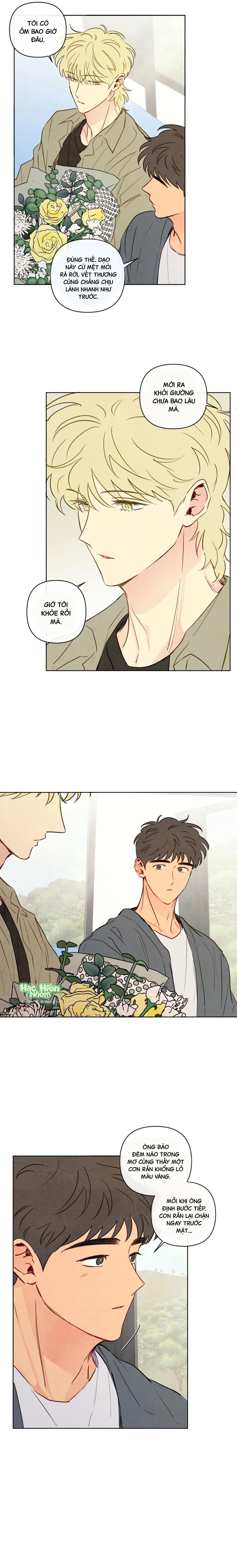 đọc truyện Sự Quyến Rũ Của Thần Rắn Chương 43 ảnh 9 tại Thiên Thai Truyện