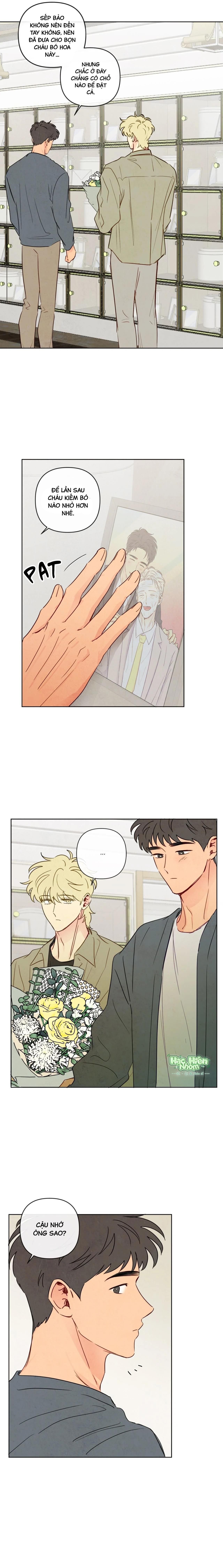 đọc truyện Sự Quyến Rũ Của Thần Rắn Chương 43 ảnh 11 tại Thiên Thai Truyện