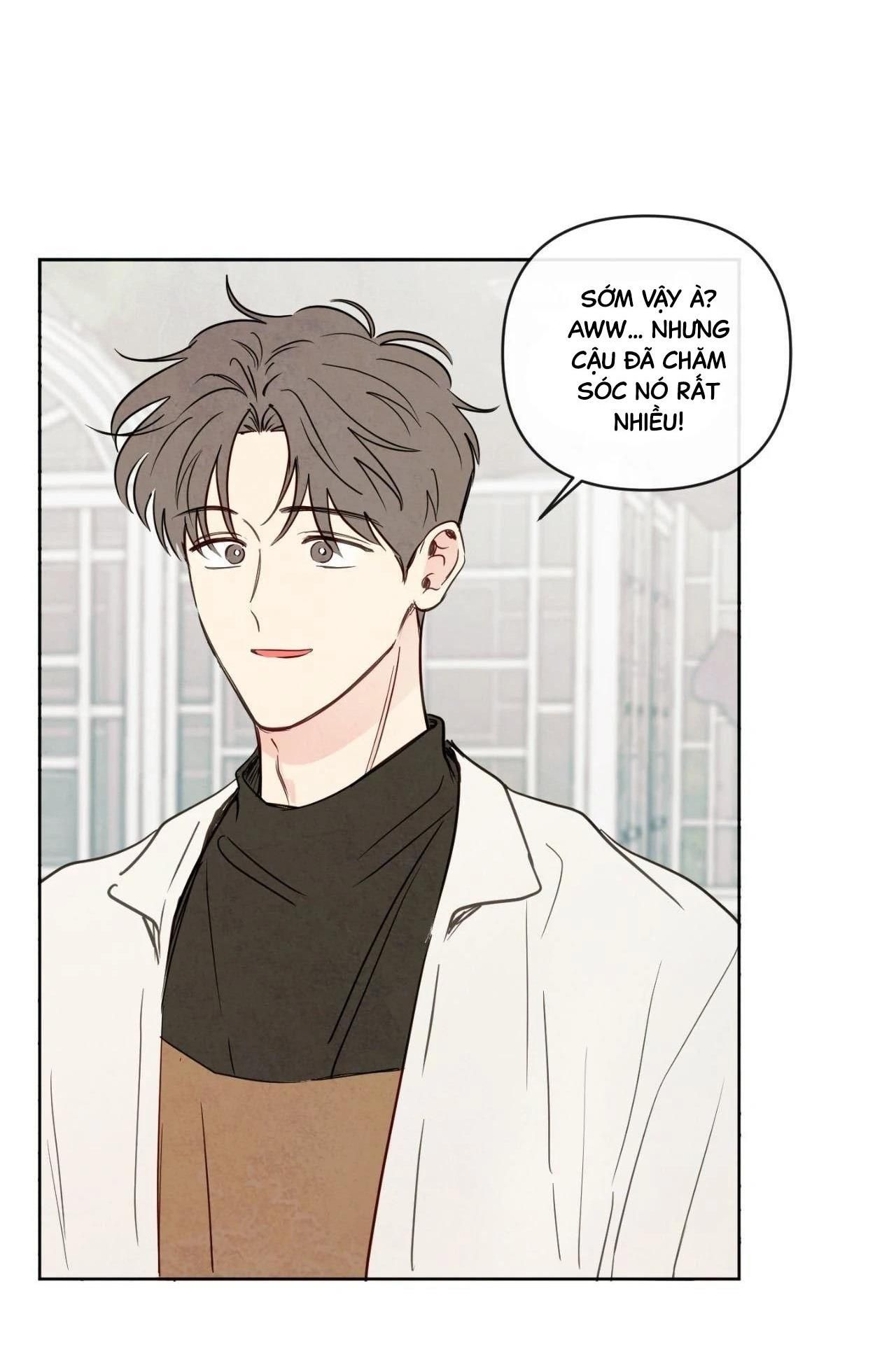 đọc truyện Sự Quyến Rũ Của Thần Rắn Chương 44 ảnh 6 tại Thiên Thai Truyện