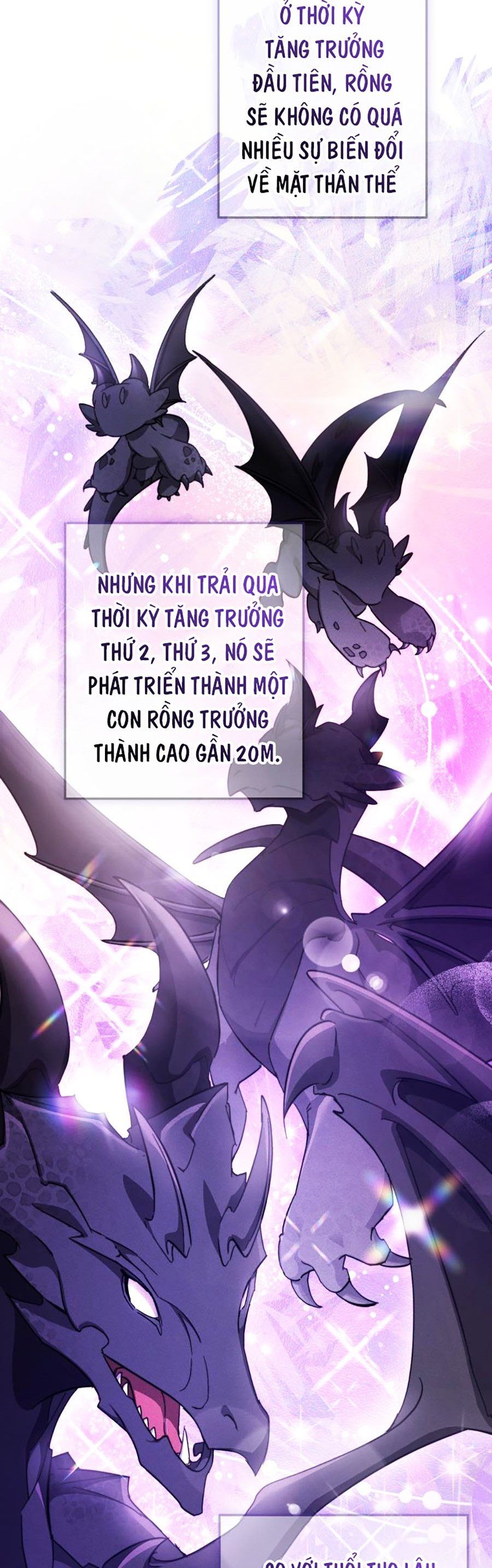 đọc truyện Sự Ra Đời Của Một Anh Hùng Chương 110 ảnh 6 tại Thiên Thai Truyện