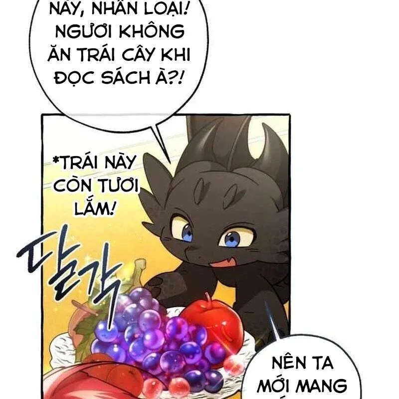 đọc truyện Sự Ra Đời Của Một Anh Hùng Chương 151 ảnh 26 tại Thiên Thai Truyện