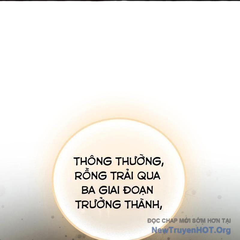 đọc truyện Sự Ra Đời Của Một Anh Hùng Chương 157 ảnh 142 tại Thiên Thai Truyện