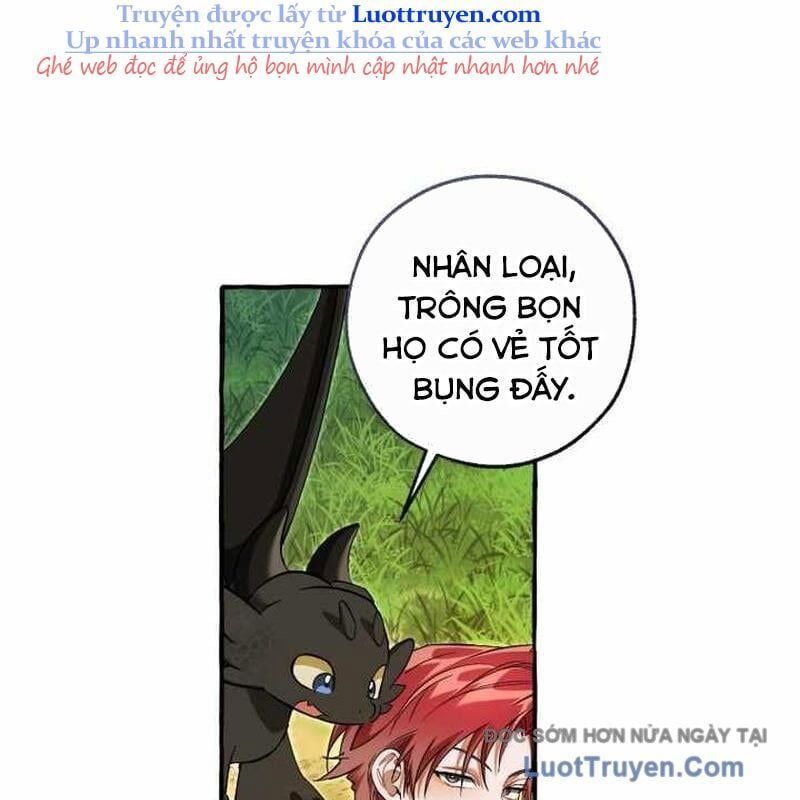 đọc truyện Sự Ra Đời Của Một Anh Hùng Chương 167 ảnh 100 tại Thiên Thai Truyện