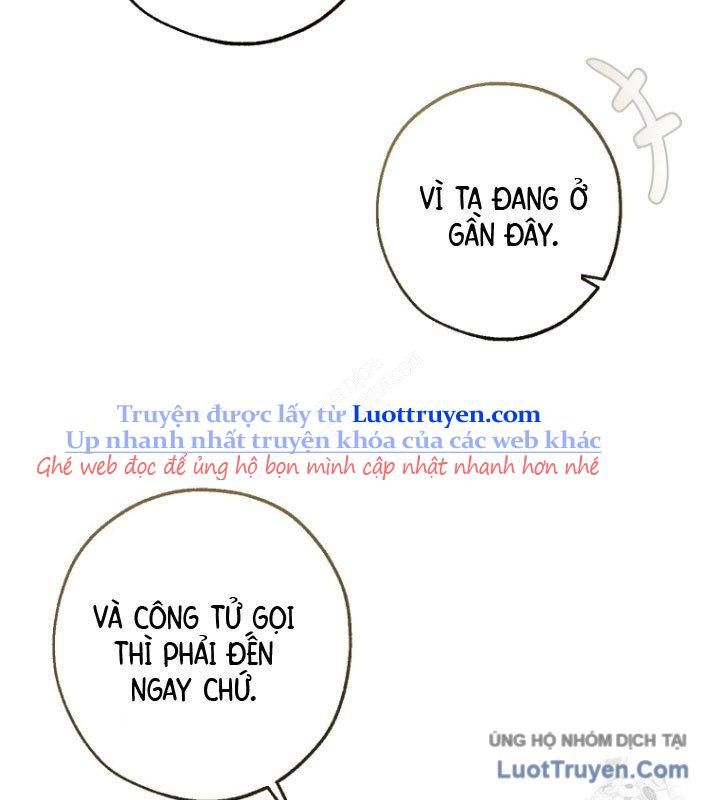 đọc truyện Sự Ra Đời Của Một Anh Hùng Chương 168 ảnh 84 tại Thiên Thai Truyện