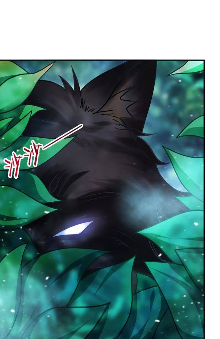 đọc truyện Sư Tổ Của Ta Là Thiên Hạ Đệ Nhất Chương 19 ảnh 13 tại Thiên Thai Truyện