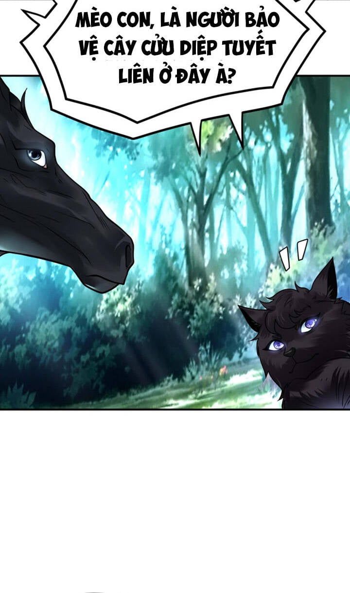 đọc truyện Sư Tổ Của Ta Là Thiên Hạ Đệ Nhất Chương 19 ảnh 35 tại Thiên Thai Truyện