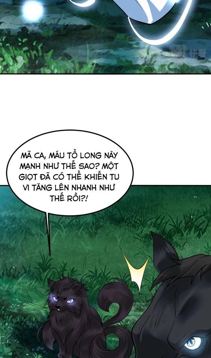 đọc truyện Sư Tổ Của Ta Là Thiên Hạ Đệ Nhất Chương 20 ảnh 25 tại Thiên Thai Truyện