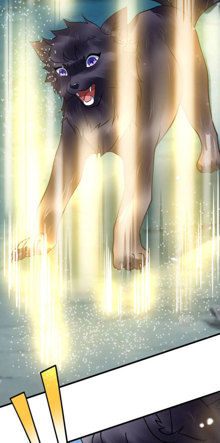 đọc truyện Sư Tổ Của Ta Là Thiên Hạ Đệ Nhất Chương 30 ảnh 38 tại Thiên Thai Truyện