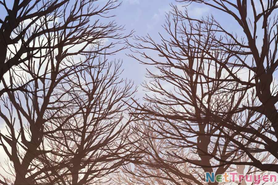 đọc truyện Sự Trở Lại Của Người Chơi Cấp Cao Nhất Chương 111 ảnh 112 tại Thiên Thai Truyện