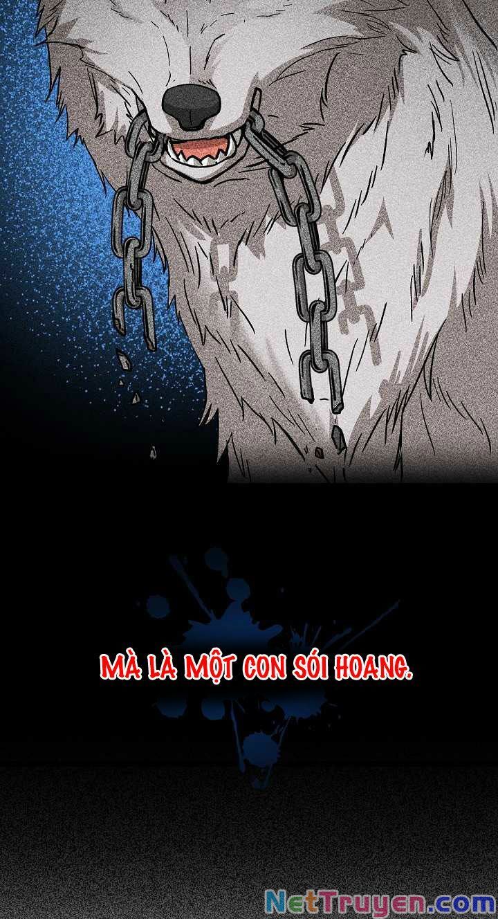 đọc truyện Sự Trở Lại Của Pháp Sư Cấp 8 Chương 21 ảnh 50 tại Thiên Thai Truyện