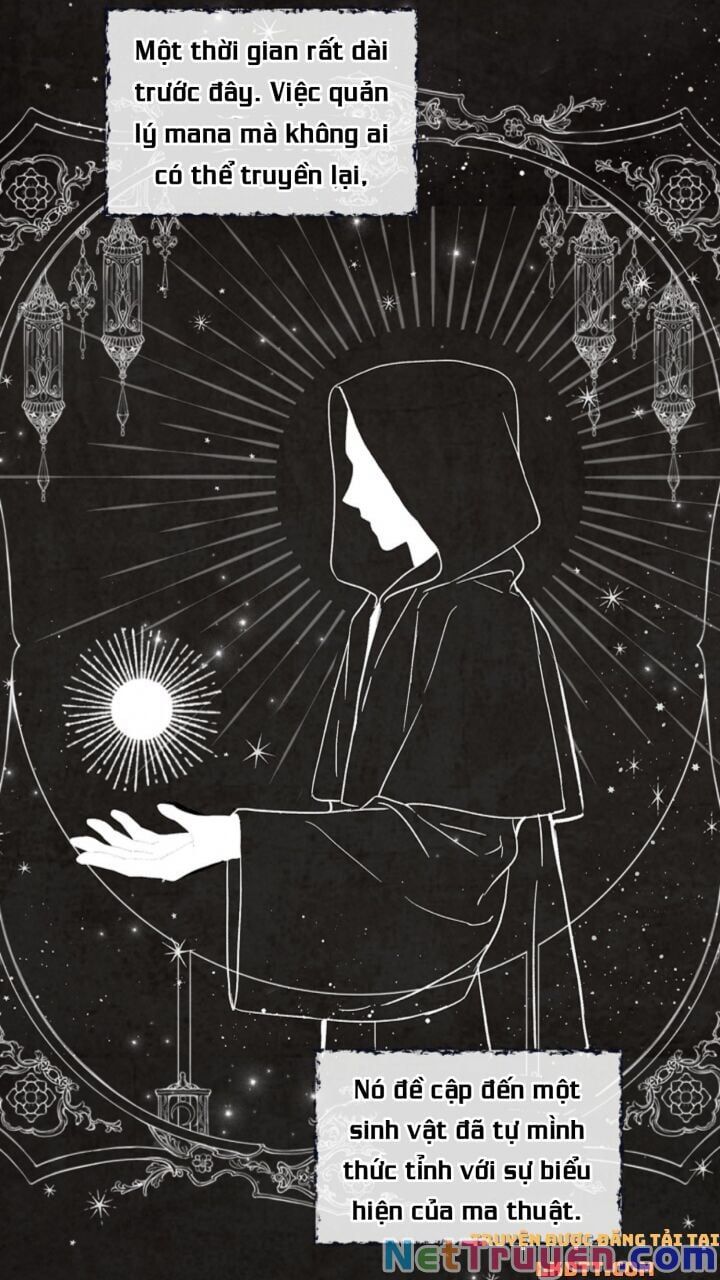 đọc truyện Sự Trở Lại Của Pháp Sư Cấp 8 Chương 3 ảnh 50 tại Thiên Thai Truyện