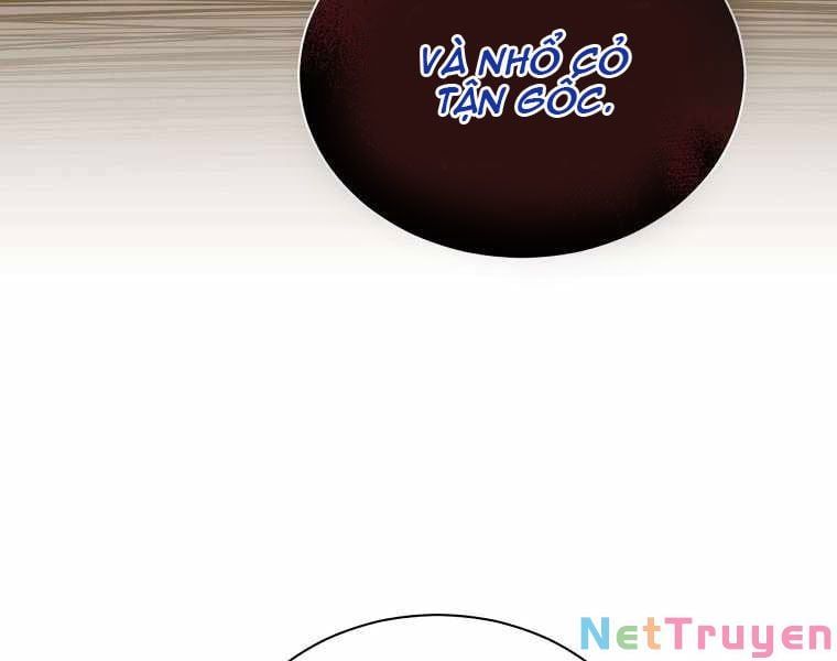 đọc truyện Sự Trở Lại Của Pháp Sư Cấp 8 Chương 47 ảnh 94 tại Thiên Thai Truyện