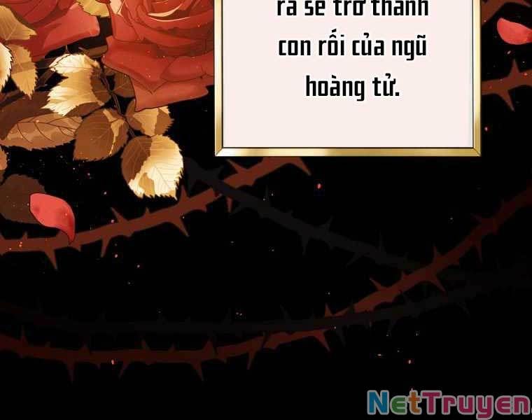 đọc truyện Sự Trở Lại Của Pháp Sư Cấp 8 Chương 68 ảnh 53 tại Thiên Thai Truyện