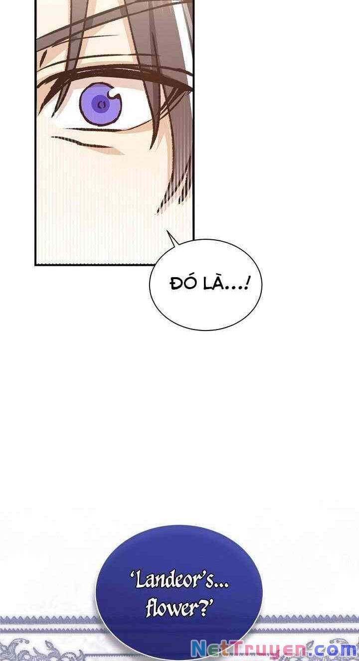 đọc truyện Sự Trở Lại Của Pháp Sư Cấp 8 Chương 8 ảnh 20 tại Thiên Thai Truyện