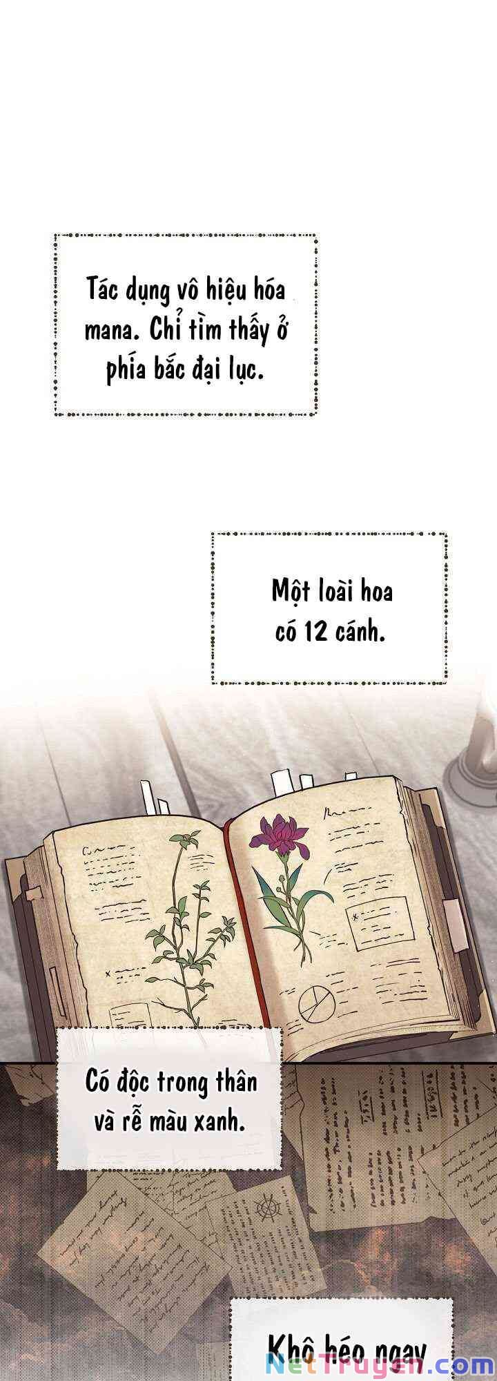 đọc truyện Sự Trở Lại Của Pháp Sư Cấp 8 Chương 8 ảnh 27 tại Thiên Thai Truyện