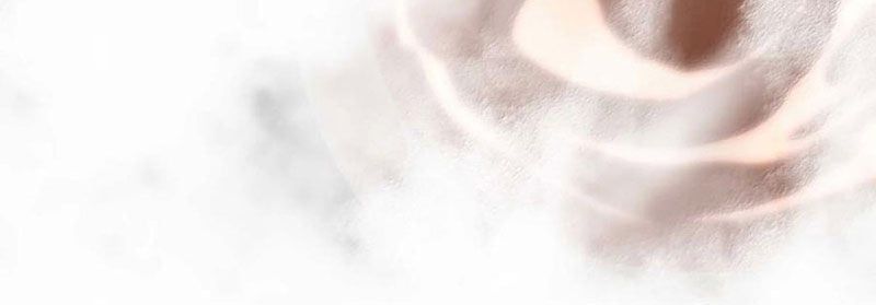 đọc truyện Sức Mạnh Của Ác Thần Chương 141 ảnh 12 tại Thiên Thai Truyện