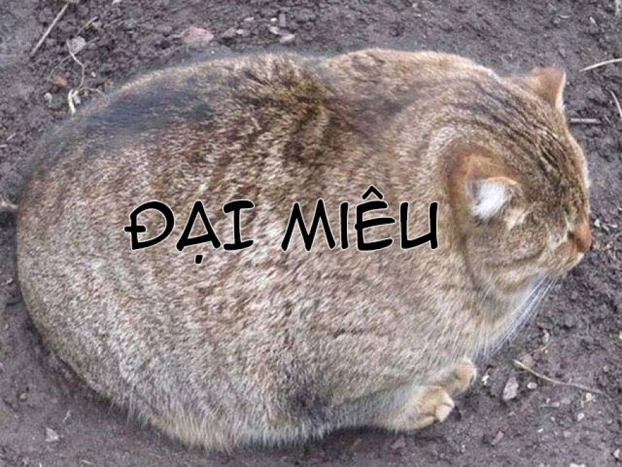 đọc truyện Sucrose Oneshot ảnh 25 tại Thiên Thai Truyện