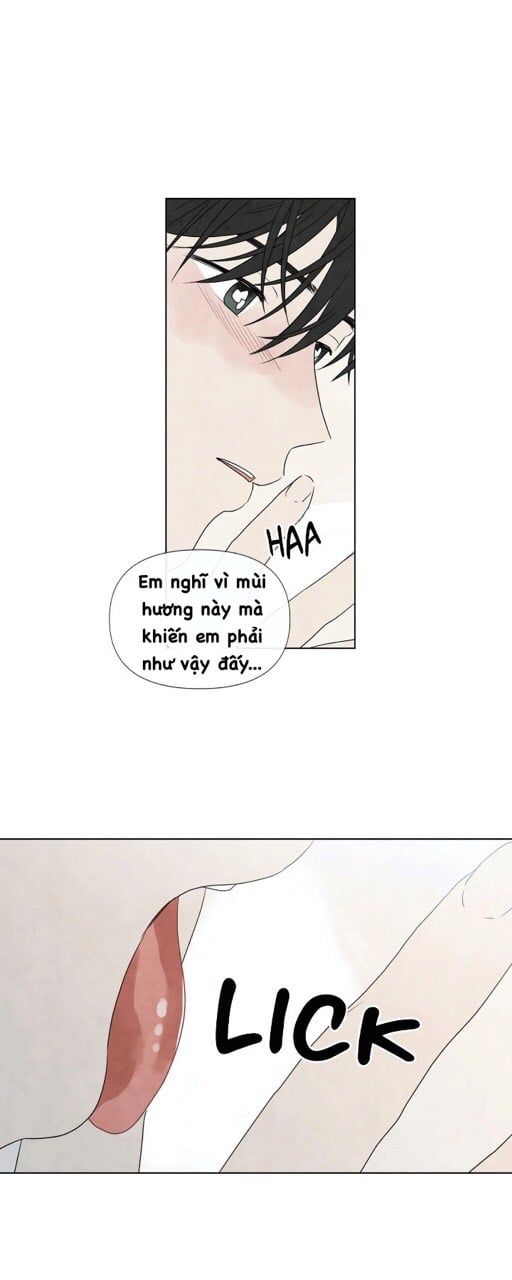 đọc truyện Summer Solstice Point Chương 14 ảnh 12 tại Thiên Thai Truyện