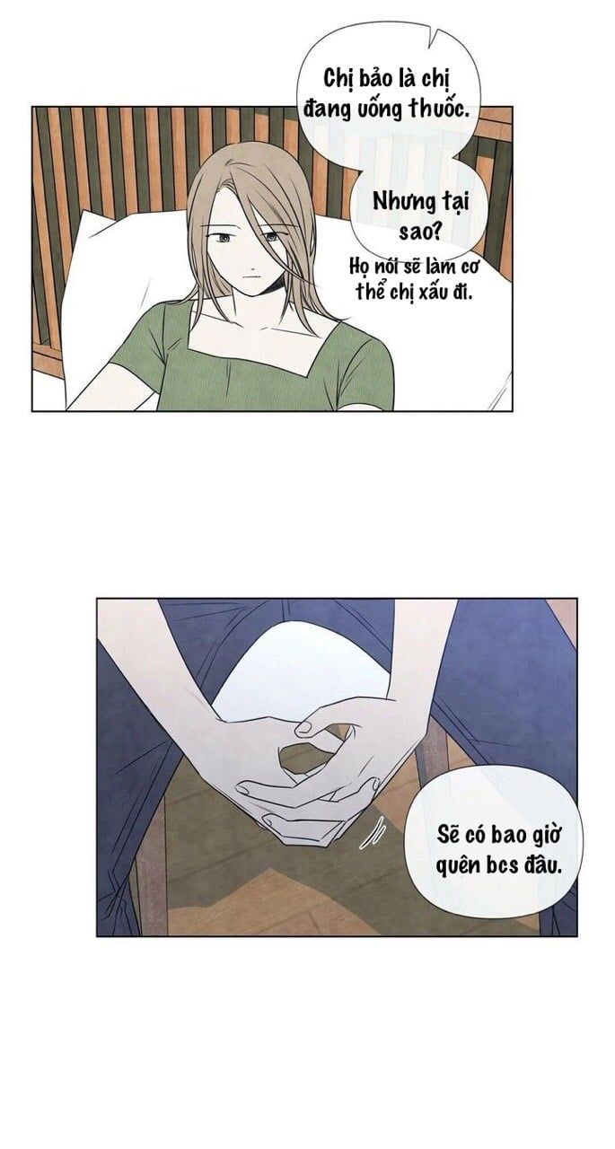 đọc truyện Summer Solstice Point Chương 28 ảnh 29 tại Thiên Thai Truyện