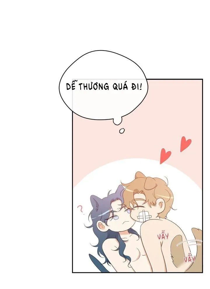 đọc truyện Sweet Dream Chương 39.3 ảnh 13 tại Thiên Thai Truyện